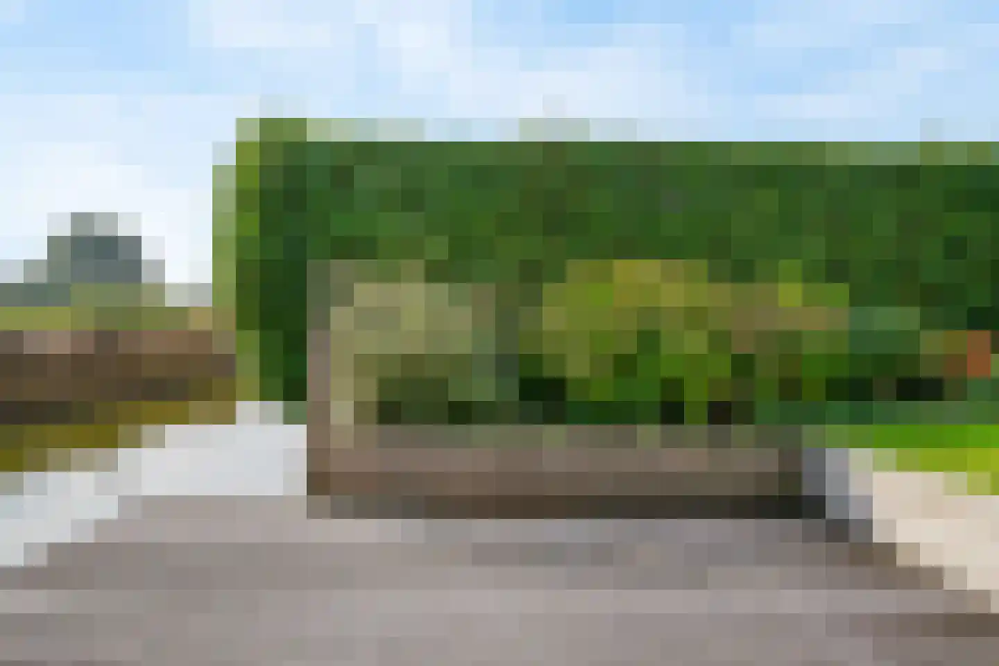Harlekijneend 3 Uithoorn thumbnail 43