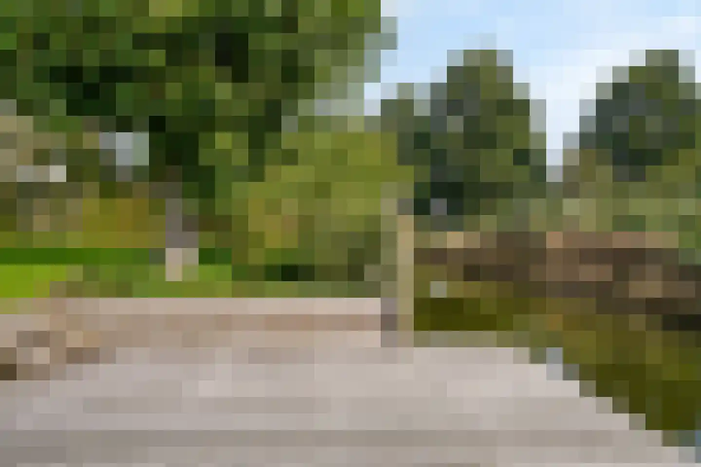 Harlekijneend 3 Uithoorn thumbnail 44