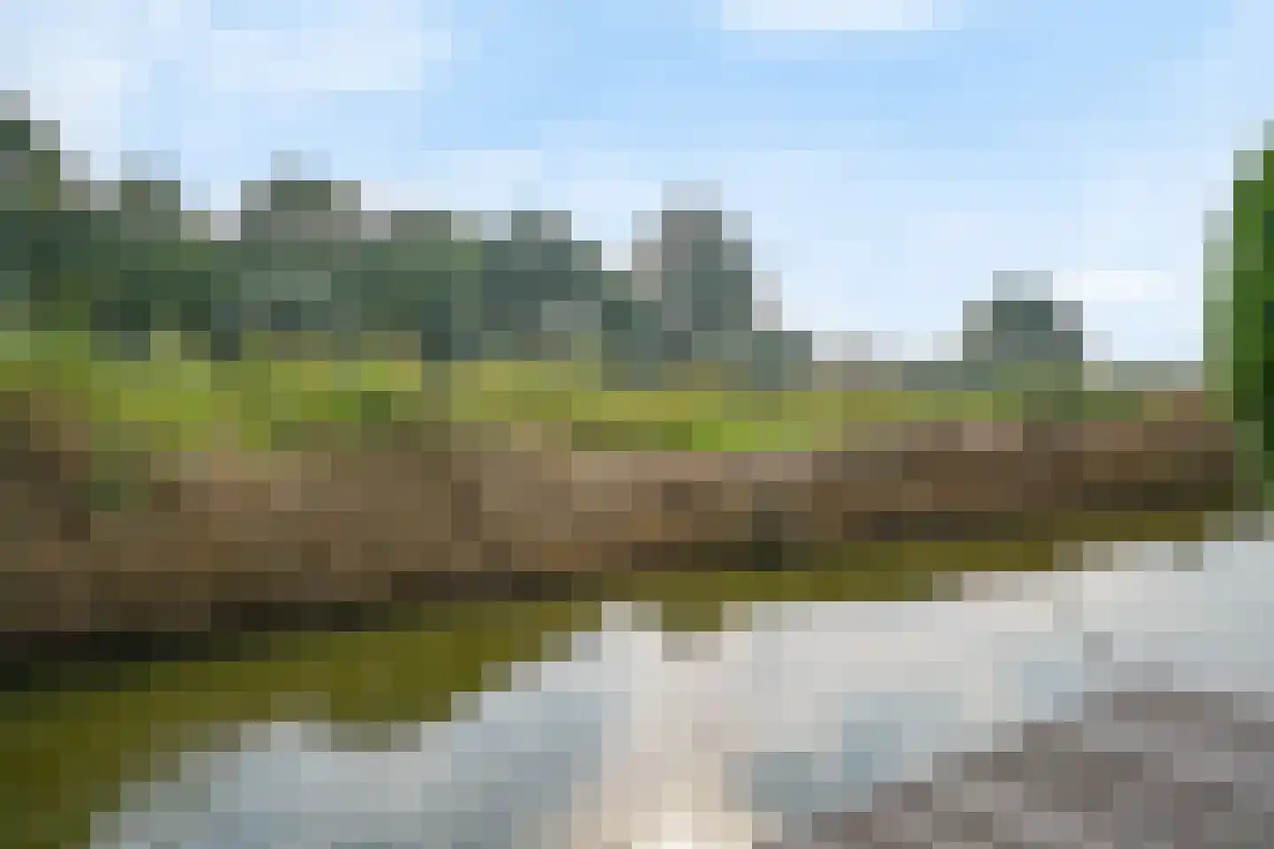 Harlekijneend 3 Uithoorn thumbnail 46