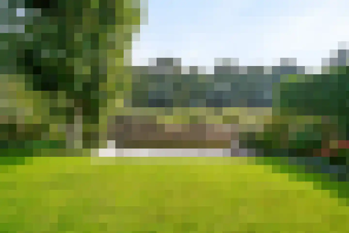 Harlekijneend 3 Uithoorn thumbnail 47