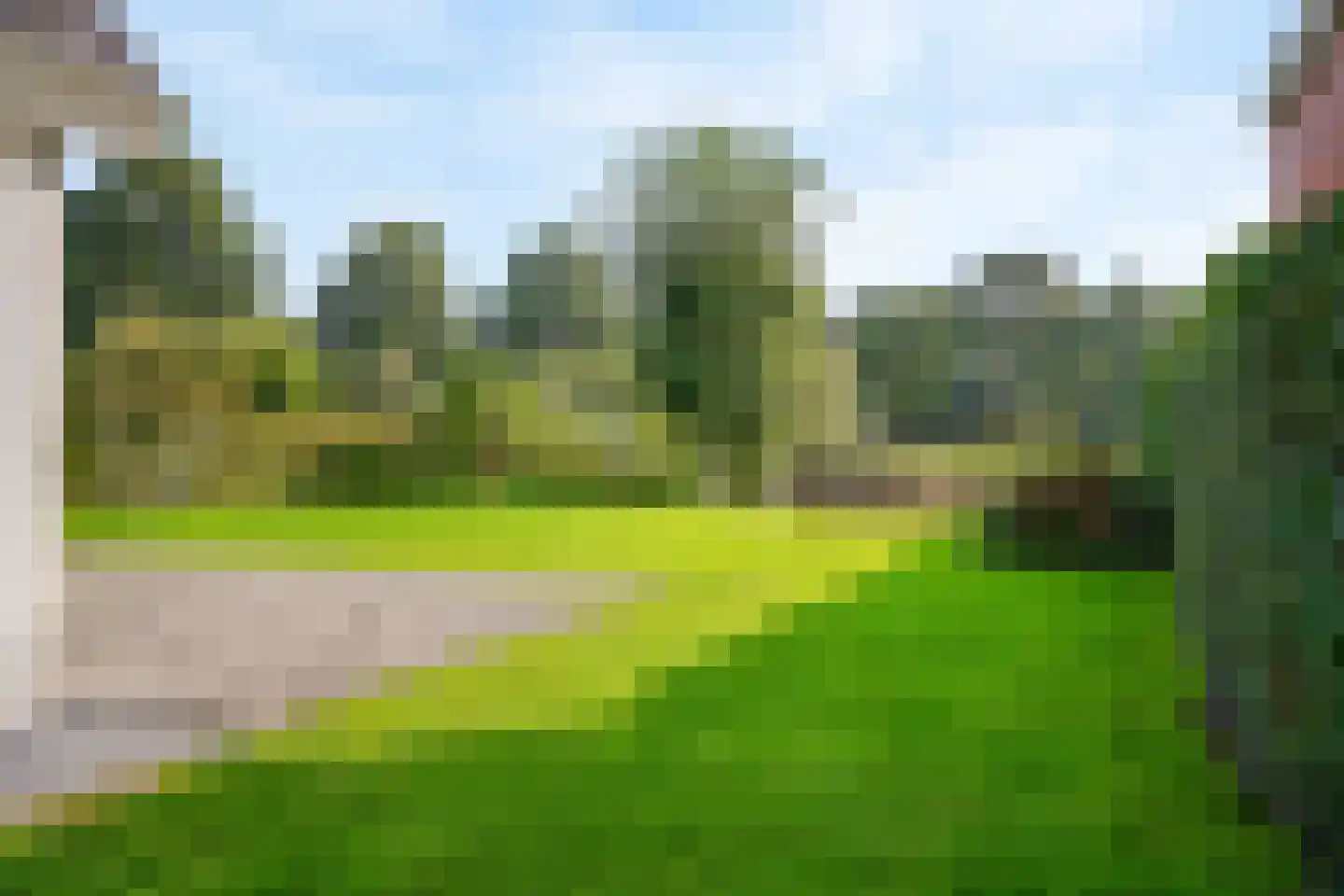 Harlekijneend 3 Uithoorn thumbnail 48