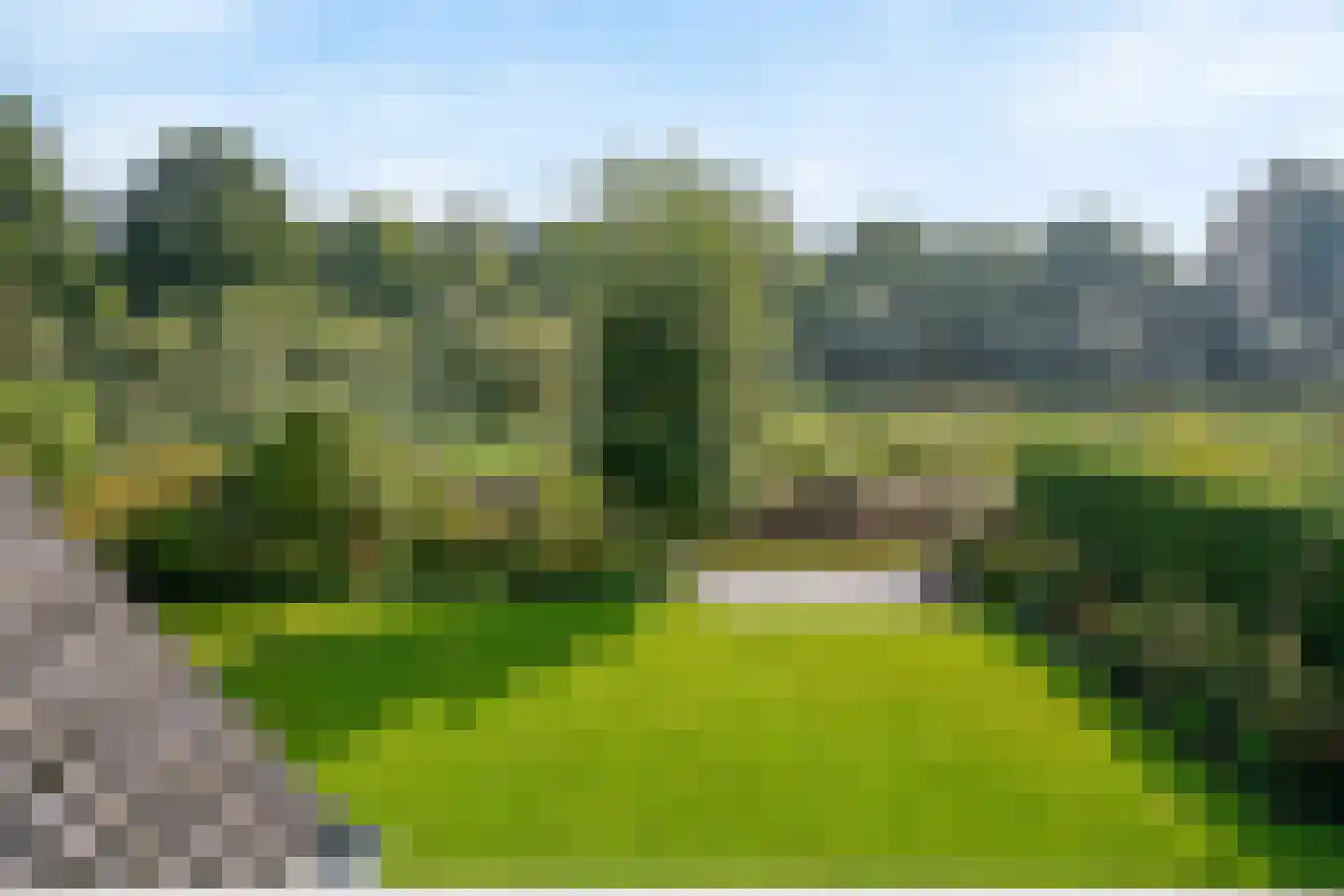 Harlekijneend 3 Uithoorn thumbnail 49