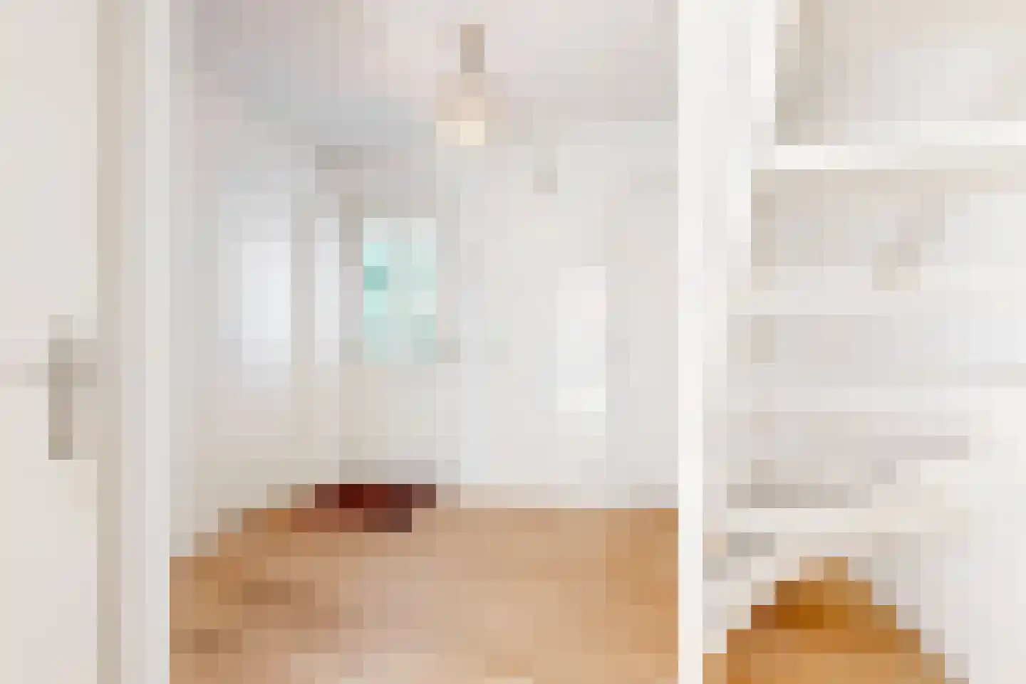 Harlekijneend 3 Uithoorn thumbnail 5