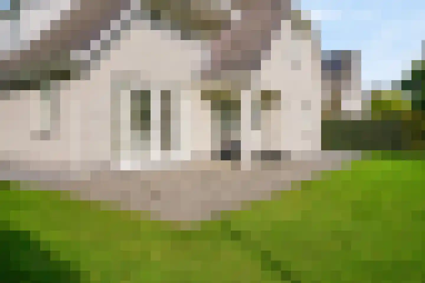 Harlekijneend 3 Uithoorn thumbnail 50