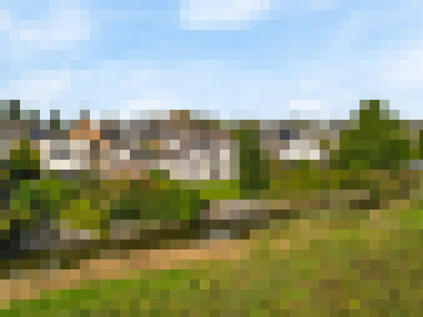 Harlekijneend 3 Uithoorn thumbnail 52