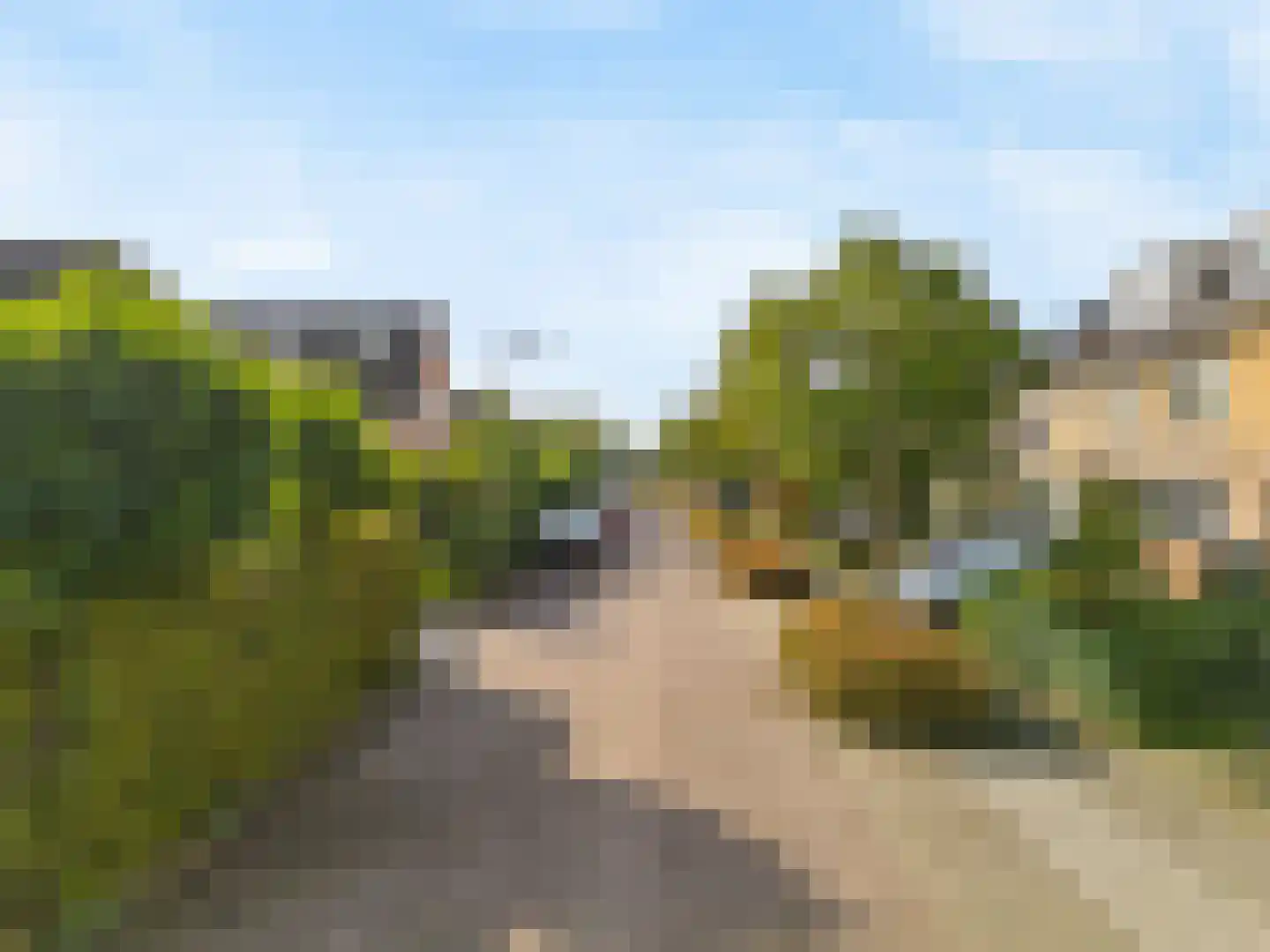 Harlekijneend 3 Uithoorn thumbnail 53