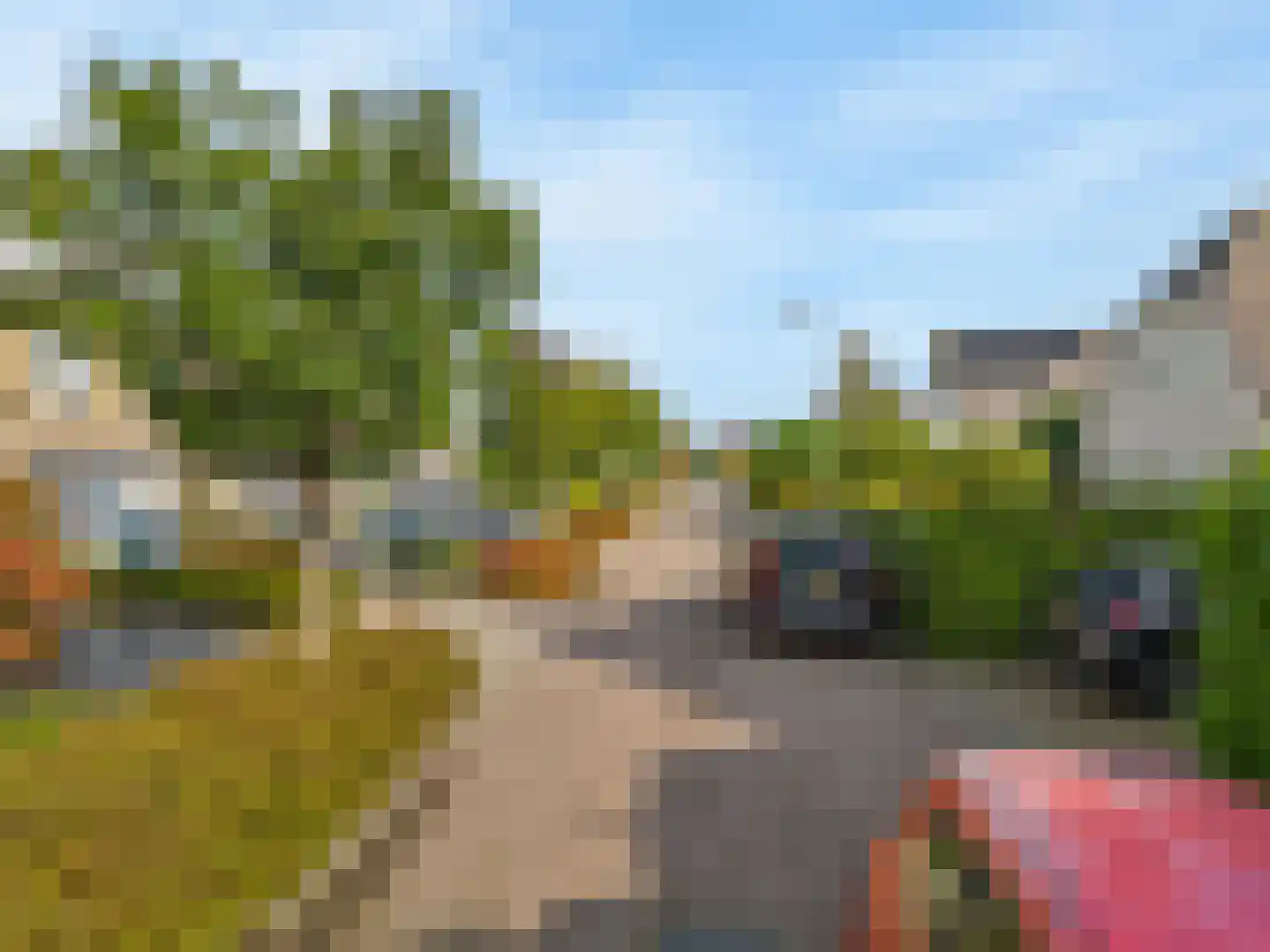 Harlekijneend 3 Uithoorn thumbnail 54