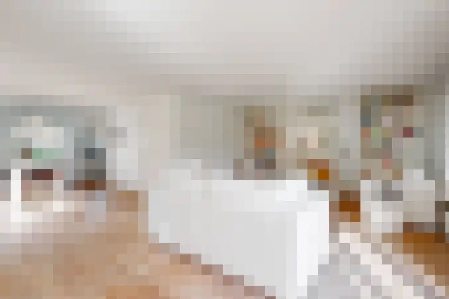 Harlekijneend 3 Uithoorn thumbnail 7