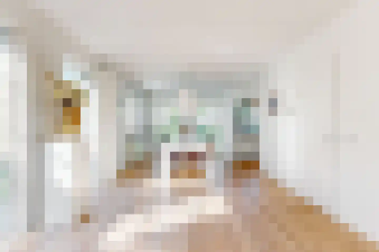 Harlekijneend 3 Uithoorn thumbnail 9