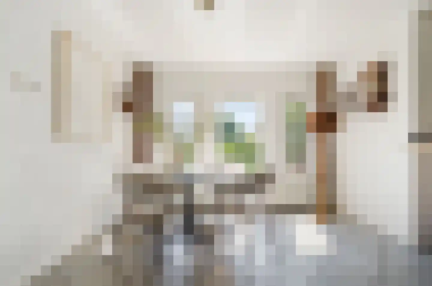 Harlekijneend 38 Uithoorn thumbnail 12