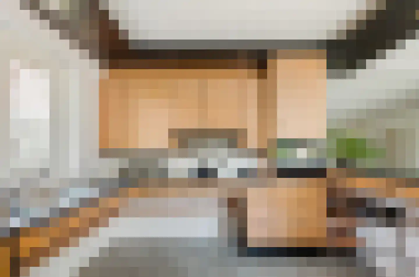 Harlekijneend 38 Uithoorn thumbnail 16