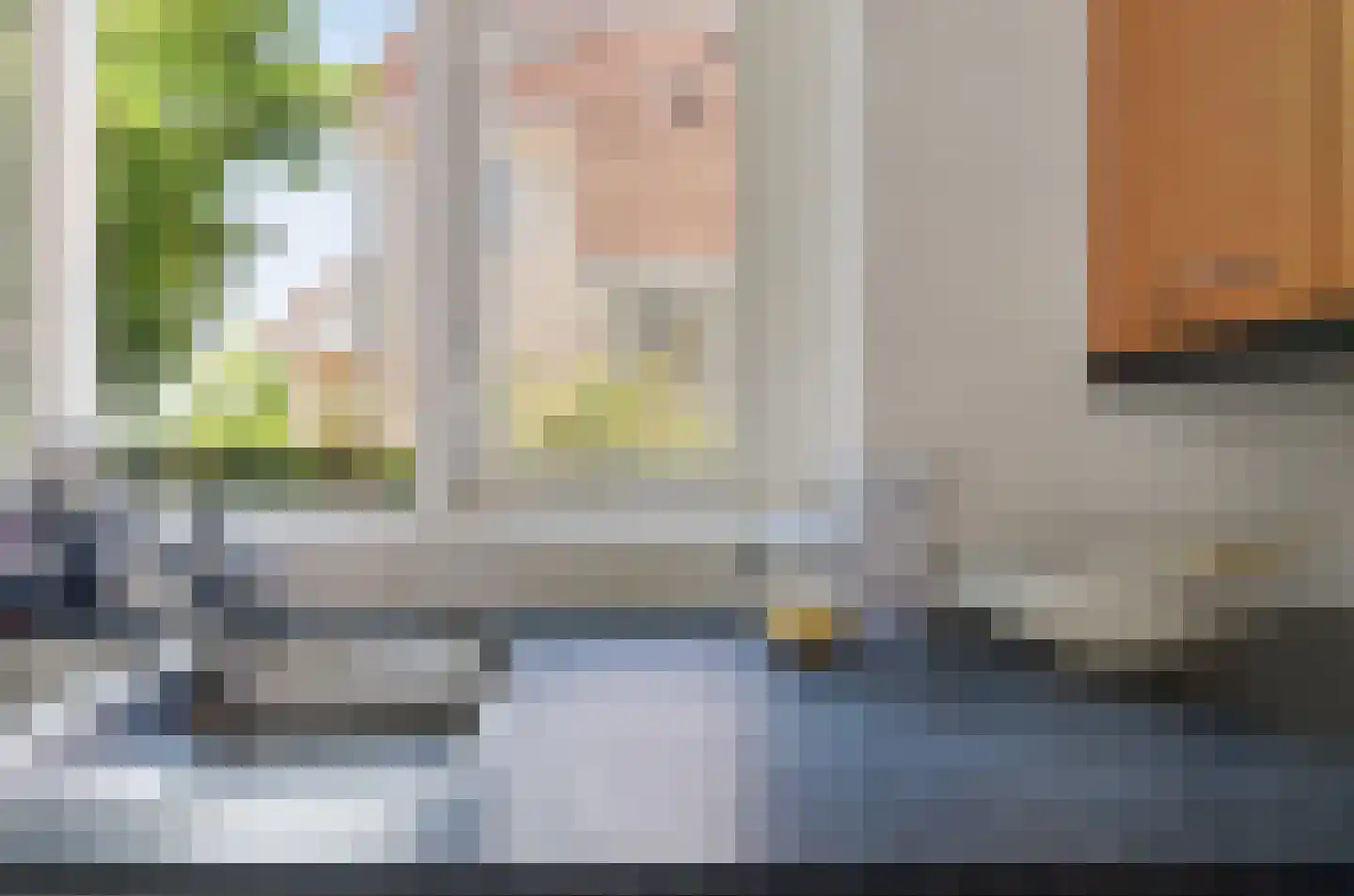 Harlekijneend 38 Uithoorn thumbnail 18