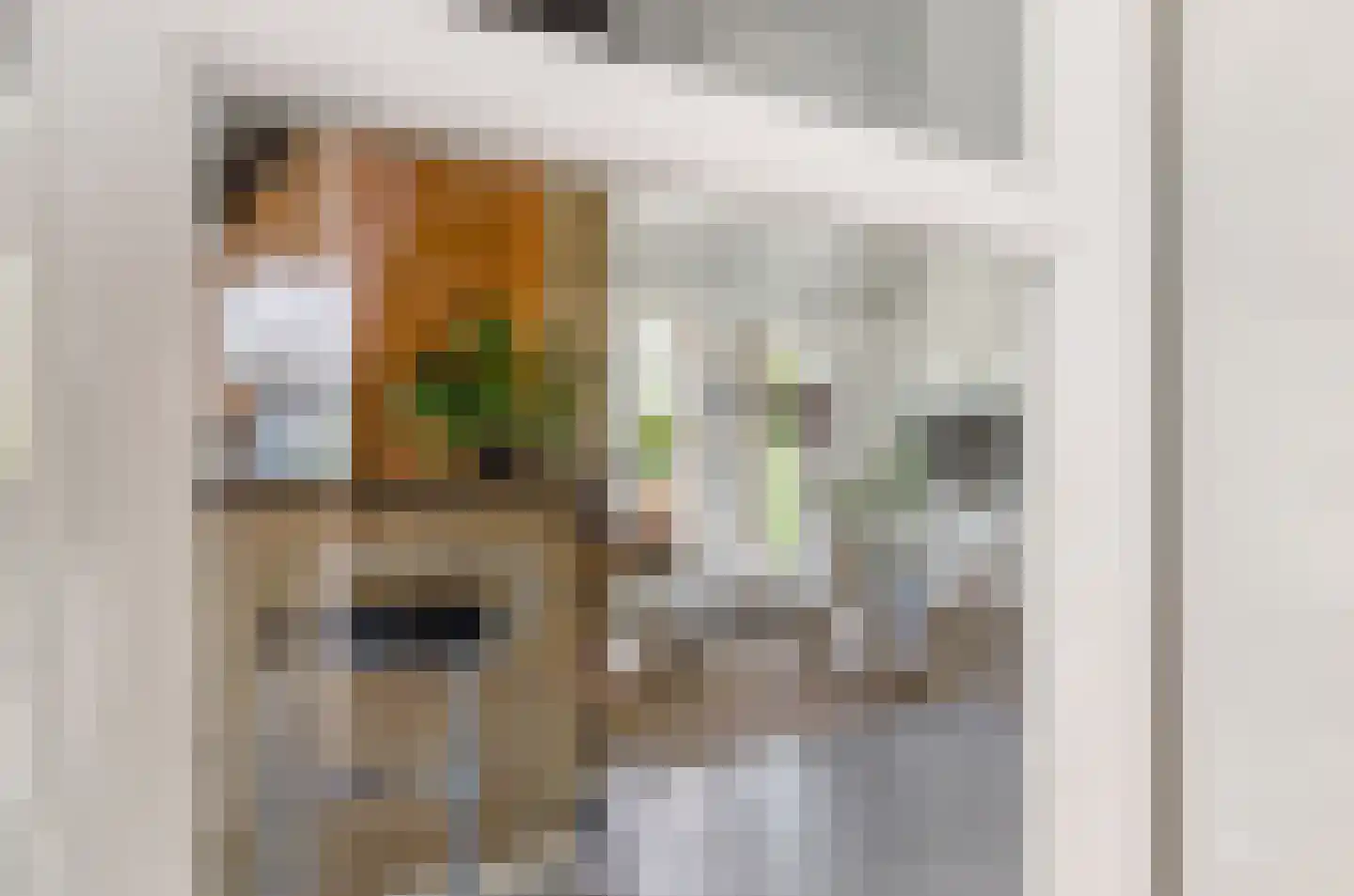 Harlekijneend 38 Uithoorn thumbnail 19