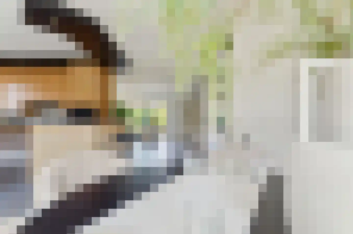 Harlekijneend 38 Uithoorn thumbnail 20