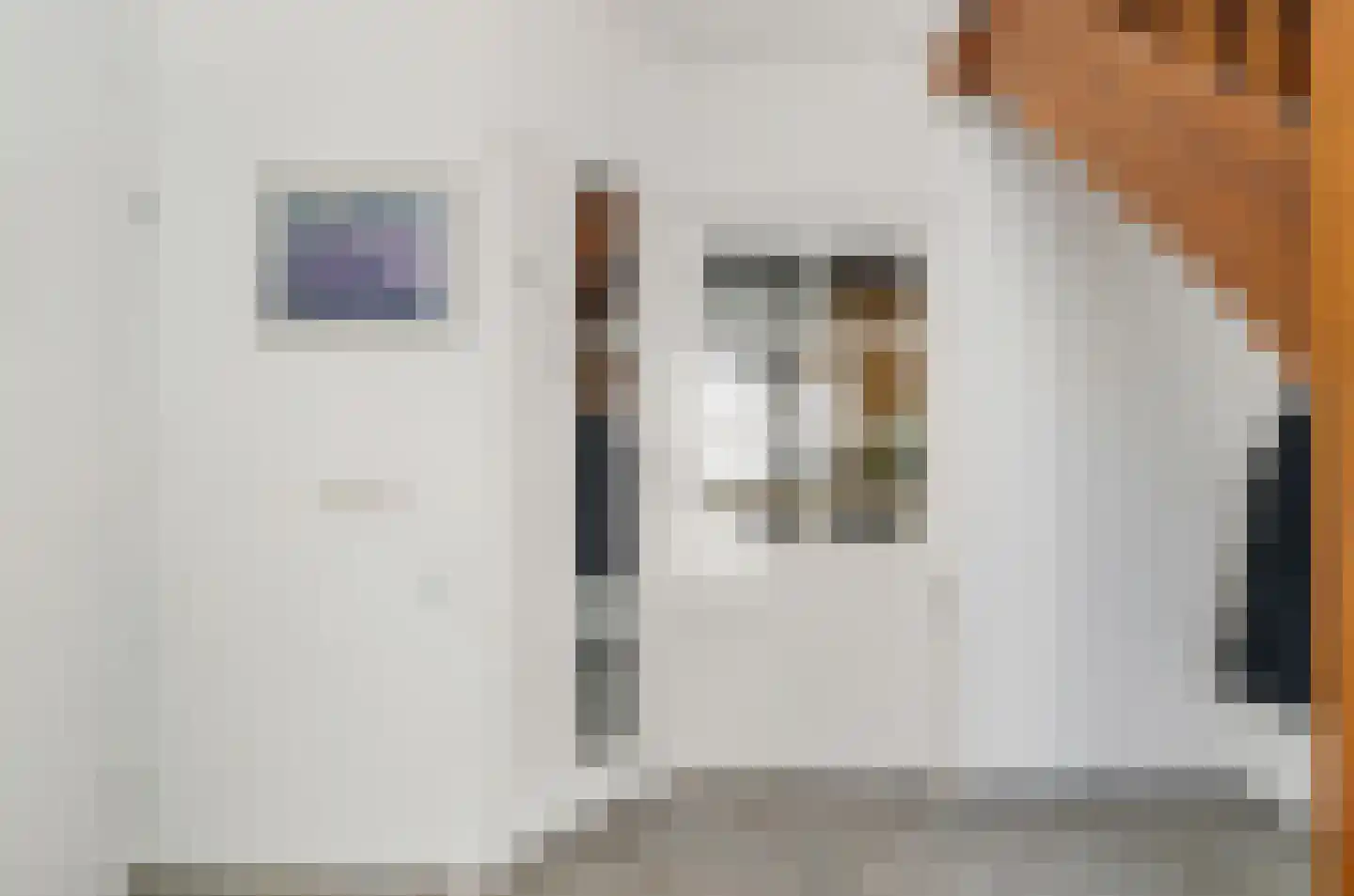 Harlekijneend 38 Uithoorn thumbnail 31