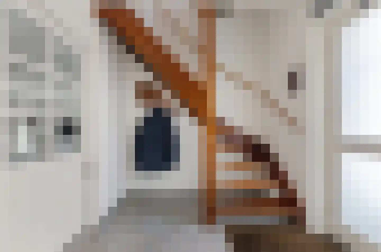 Harlekijneend 38 Uithoorn thumbnail 32
