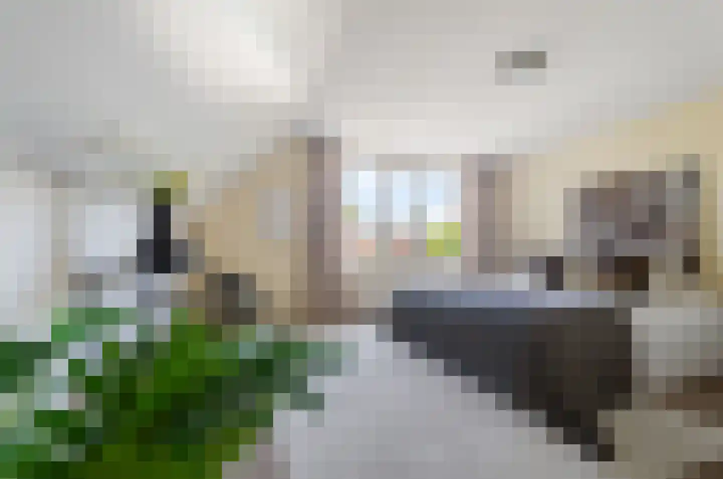 Harlekijneend 38 Uithoorn thumbnail 33