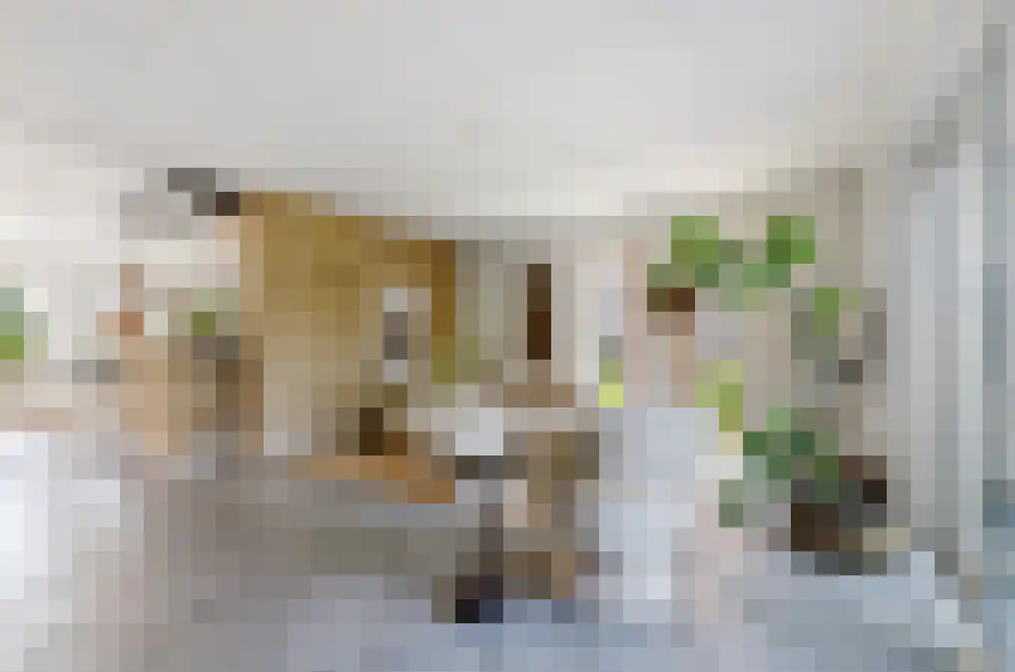 Harlekijneend 38 Uithoorn thumbnail 4