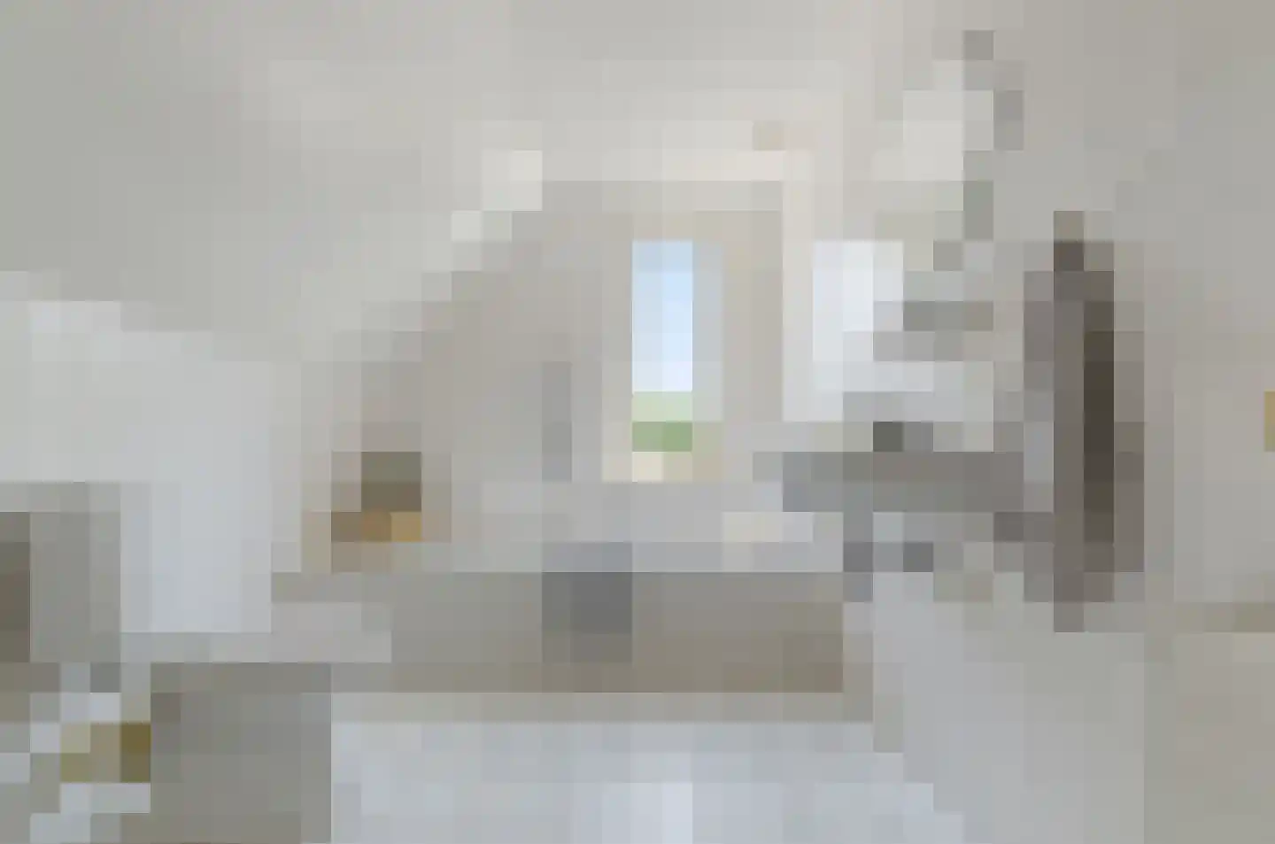Harlekijneend 38 Uithoorn thumbnail 40