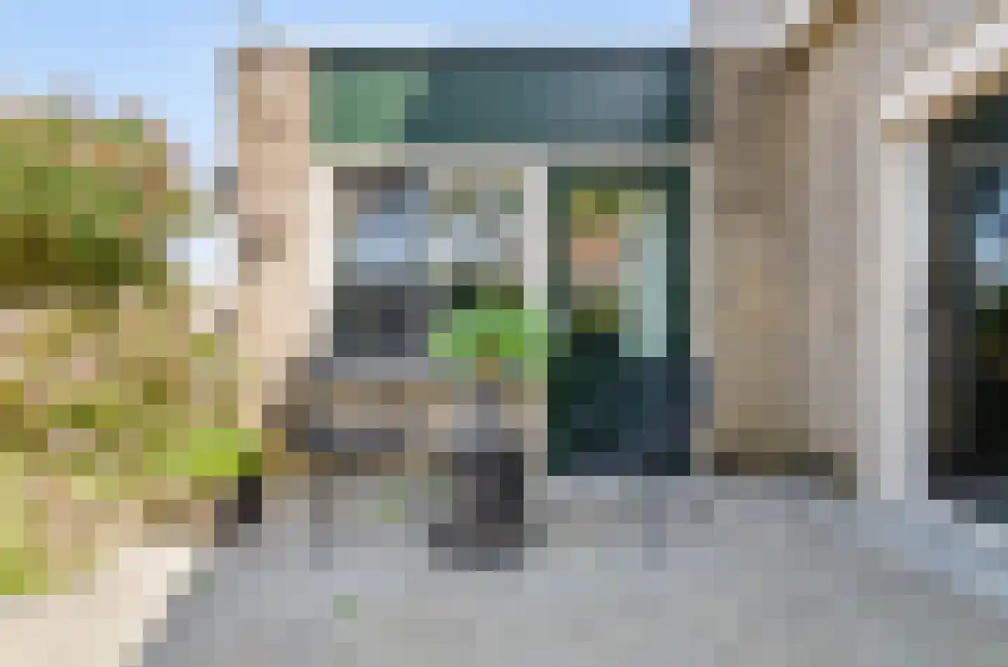 Harlekijneend 38 Uithoorn thumbnail 43