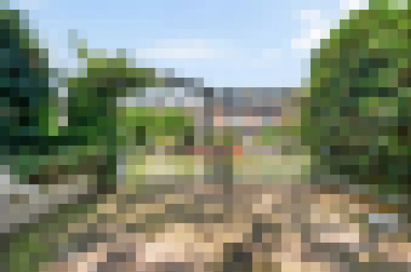 Harlekijneend 38 Uithoorn thumbnail 47
