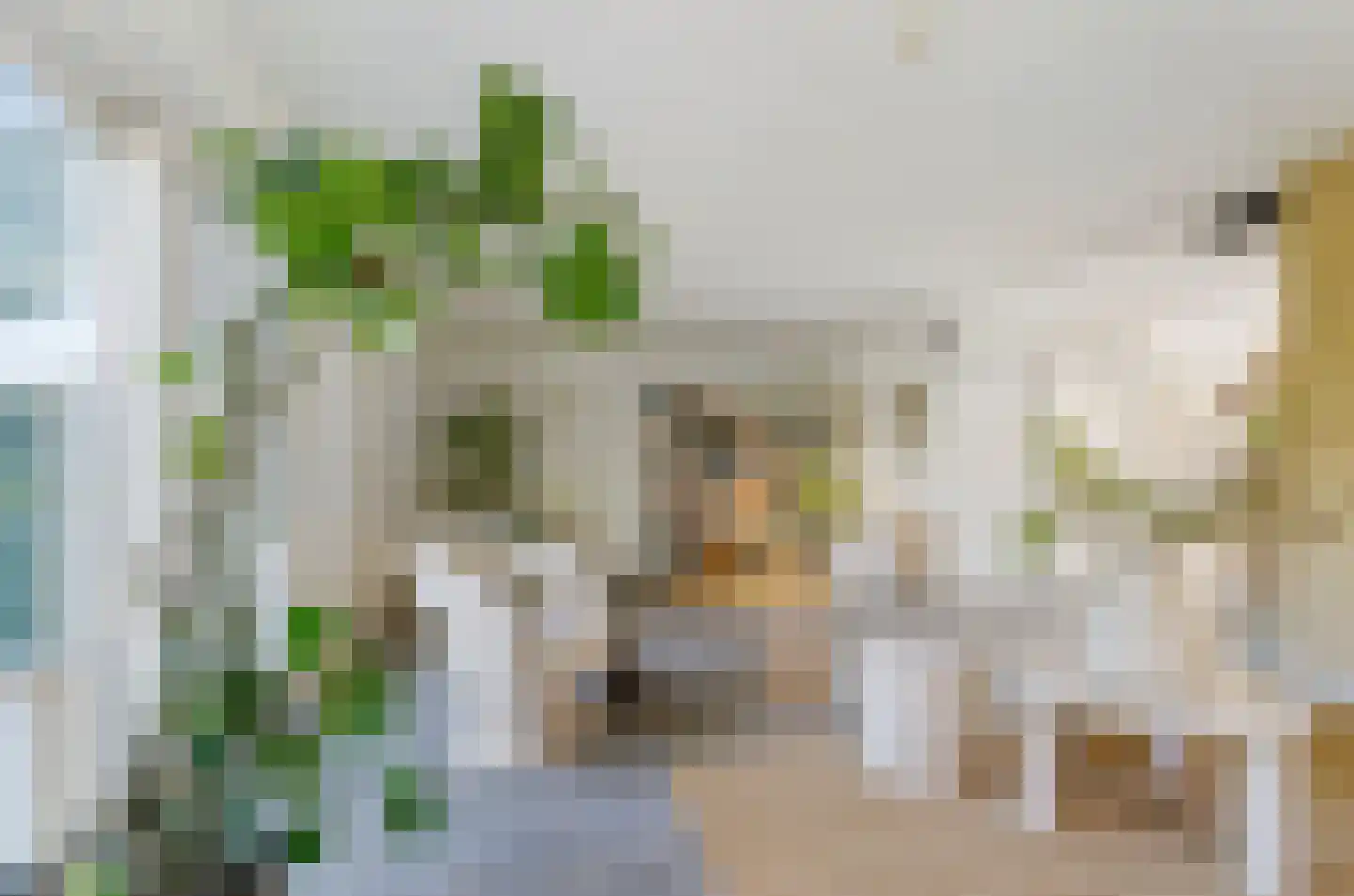 Harlekijneend 38 Uithoorn thumbnail 5