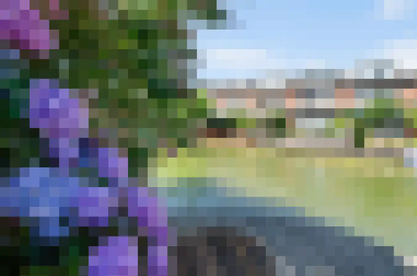 Harlekijneend 38 Uithoorn thumbnail 51