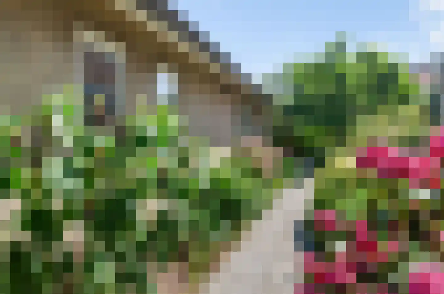 Harlekijneend 38 Uithoorn thumbnail 53