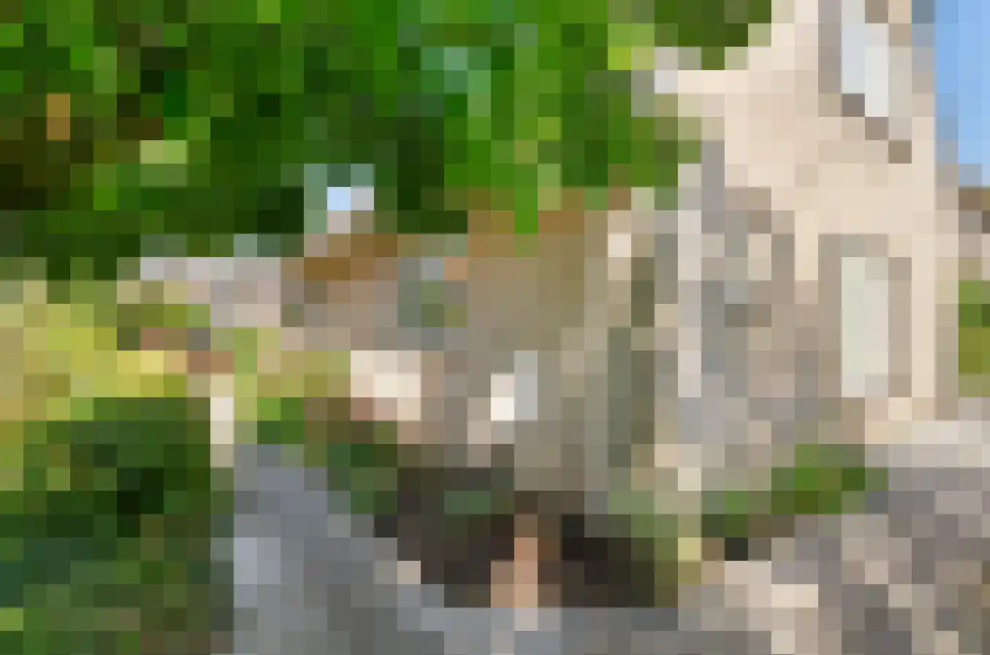 Harlekijneend 38 Uithoorn thumbnail 54