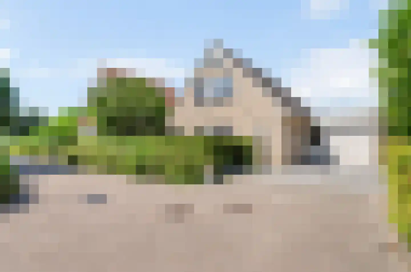 Harlekijneend 38 Uithoorn thumbnail 55