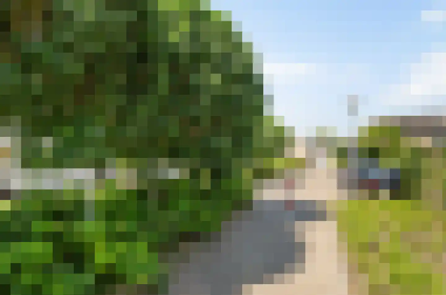 Harlekijneend 38 Uithoorn thumbnail 56