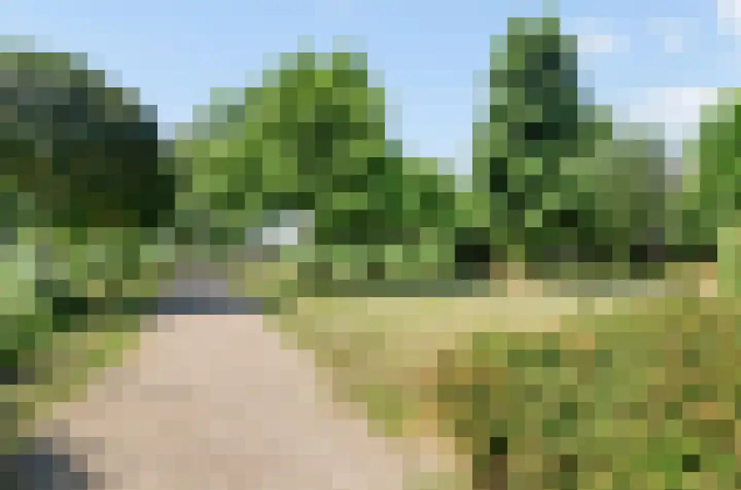 Harlekijneend 38 Uithoorn thumbnail 57