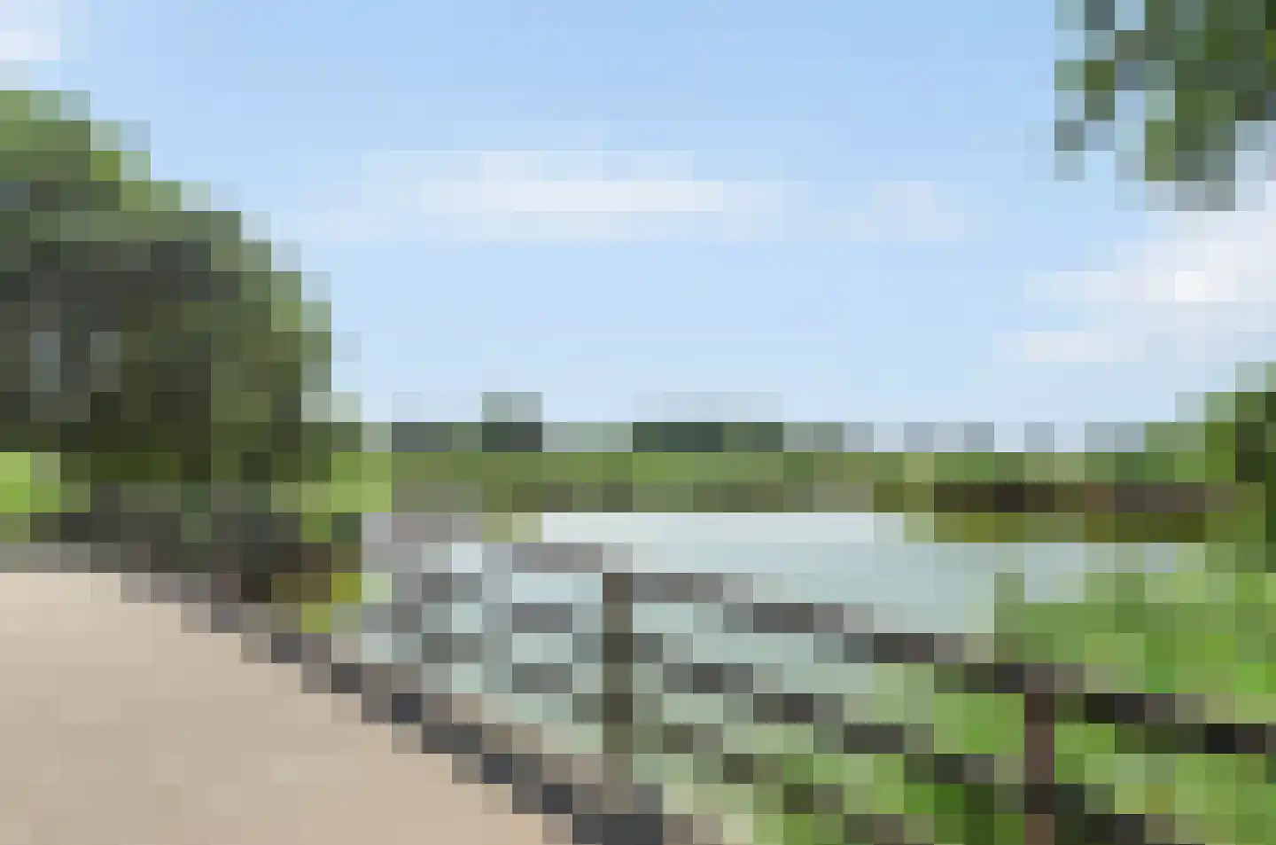 Harlekijneend 38 Uithoorn thumbnail 58