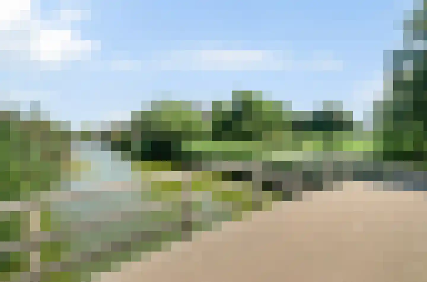 Harlekijneend 38 Uithoorn thumbnail 59