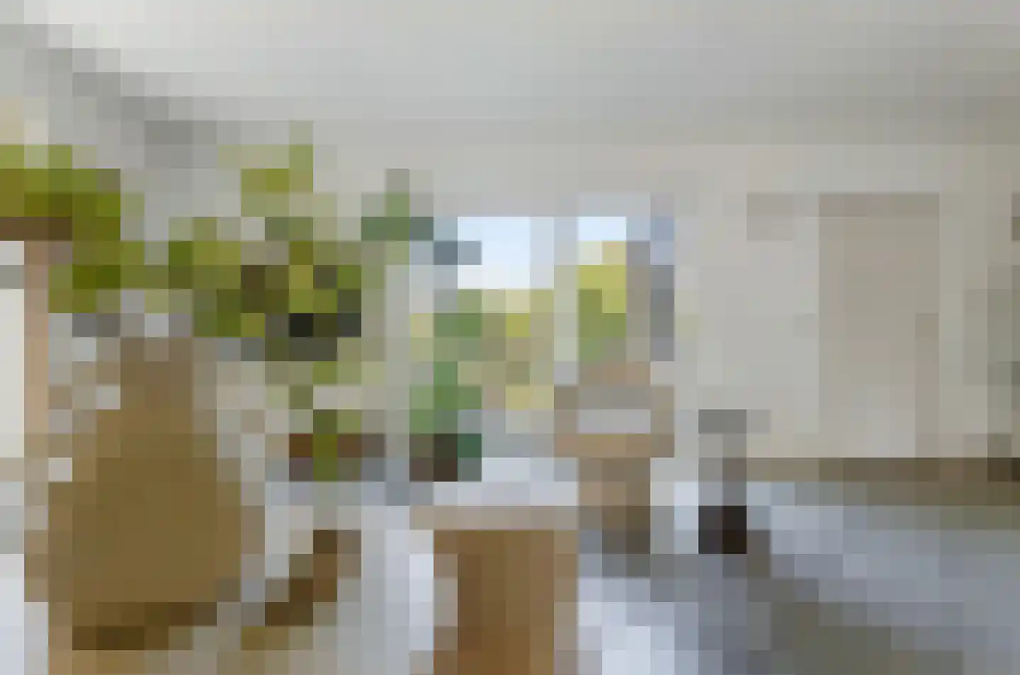 Harlekijneend 38 Uithoorn thumbnail 6