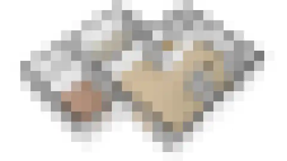Harlekijneend 38 Uithoorn thumbnail 62