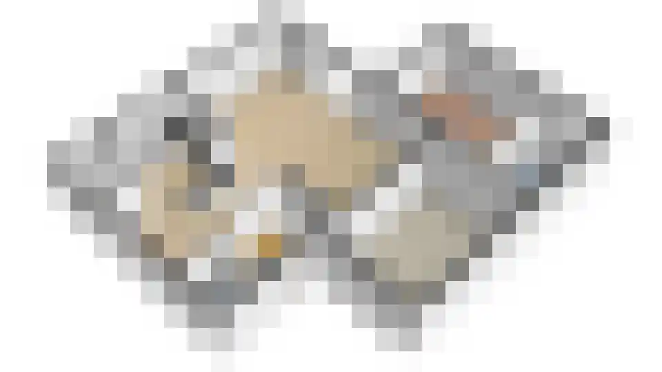 Harlekijneend 38 Uithoorn thumbnail 63