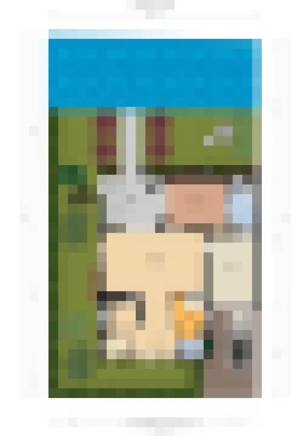 Harlekijneend 38 Uithoorn thumbnail 67