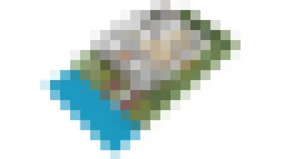 Harlekijneend 38 Uithoorn thumbnail 68