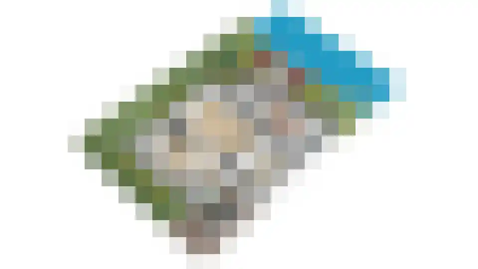 Harlekijneend 38 Uithoorn thumbnail 69