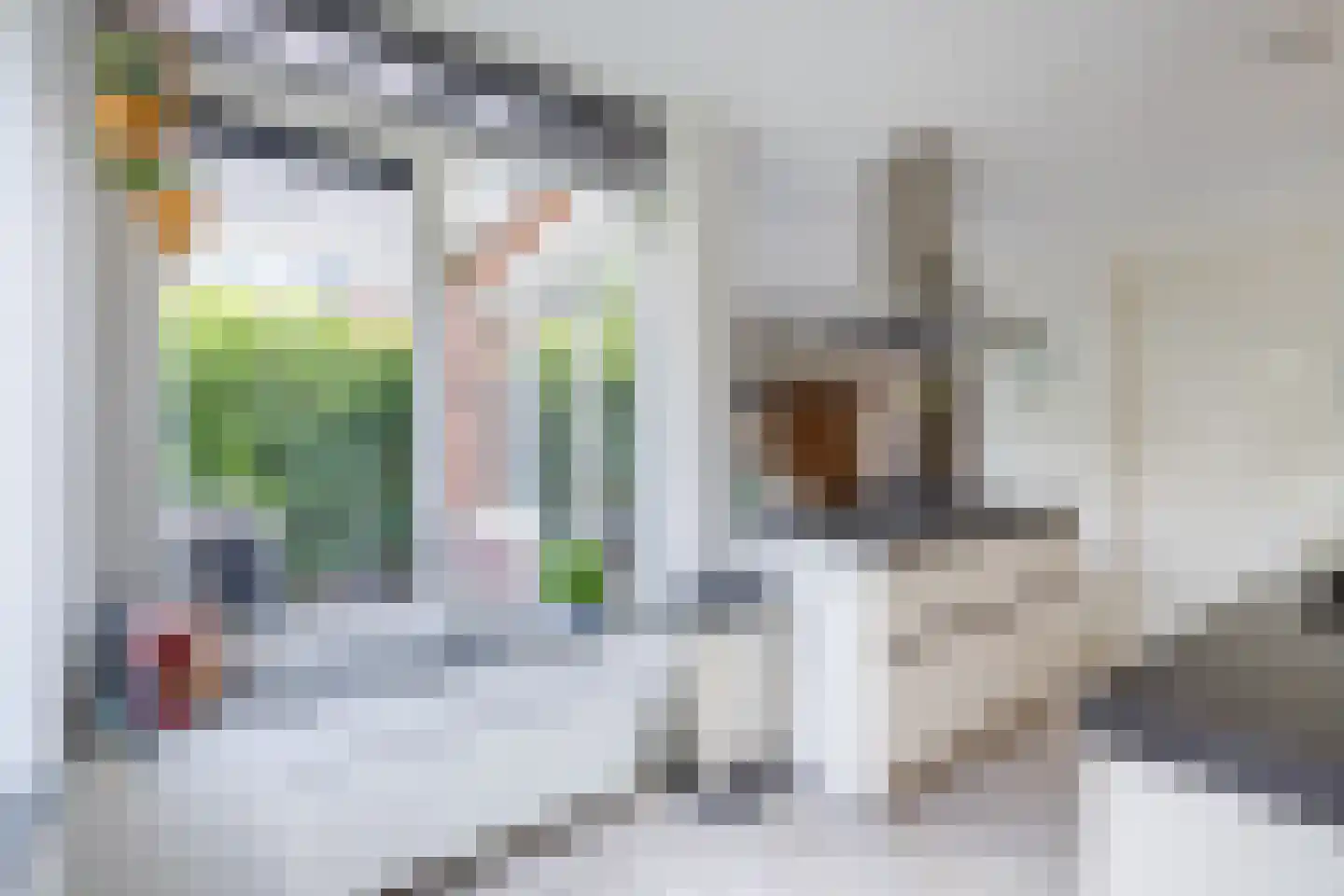 Harlekijnvlinder 18 Oosterhout thumbnail 16