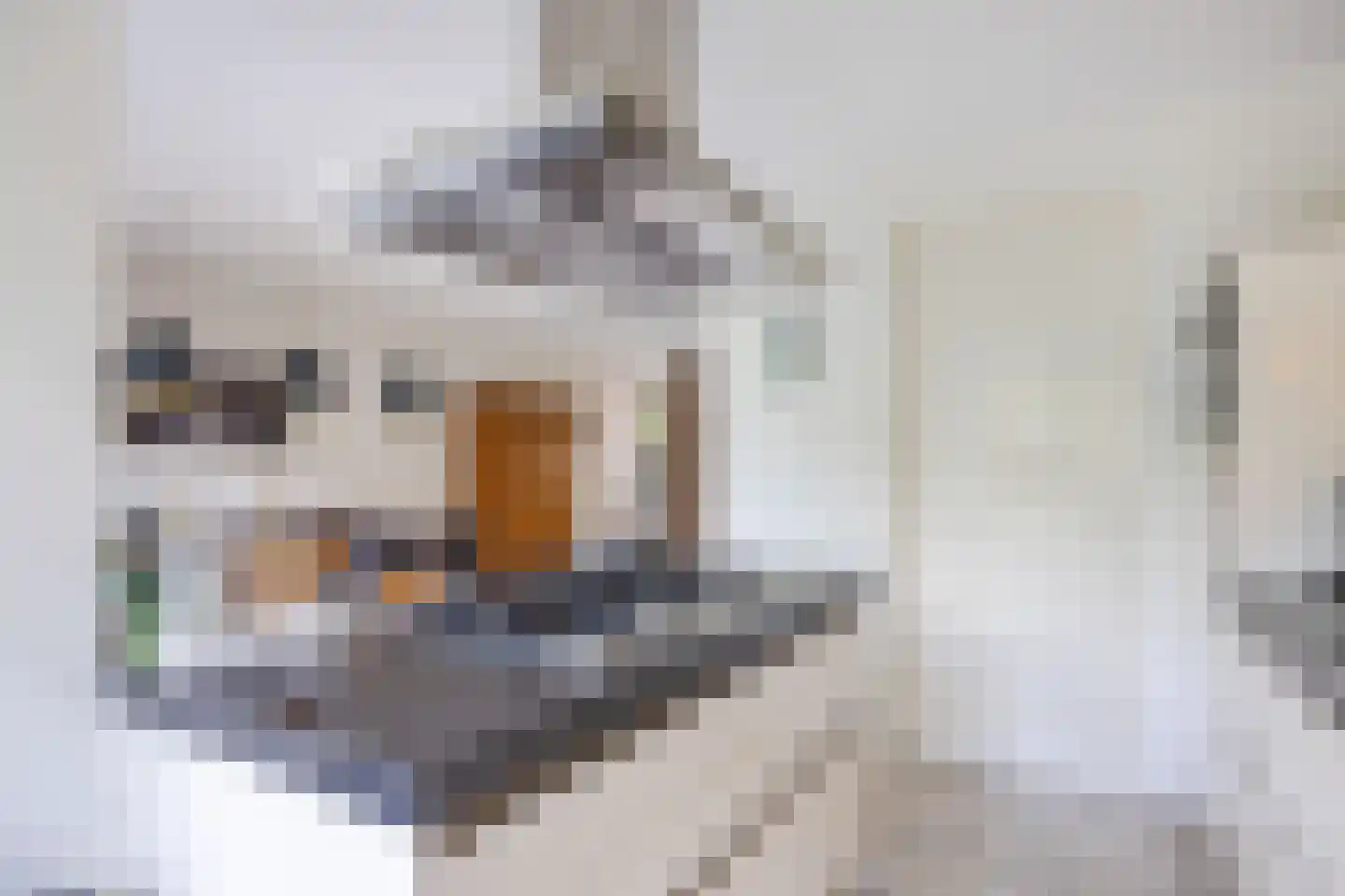 Harlekijnvlinder 18 Oosterhout thumbnail 17