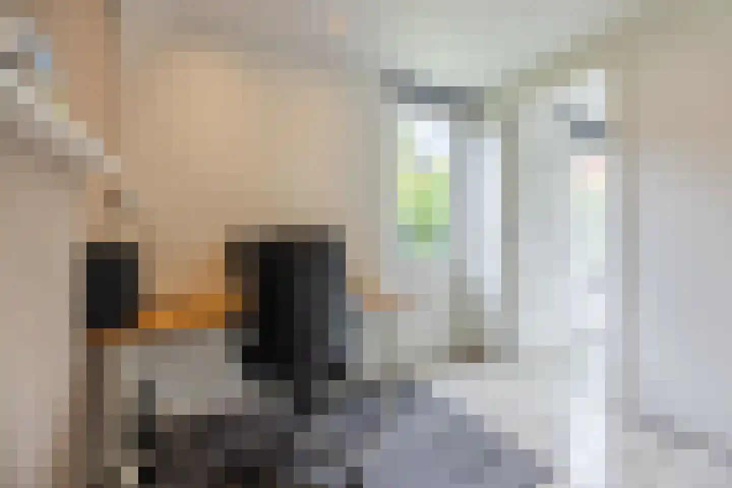 Harlekijnvlinder 18 Oosterhout thumbnail 19