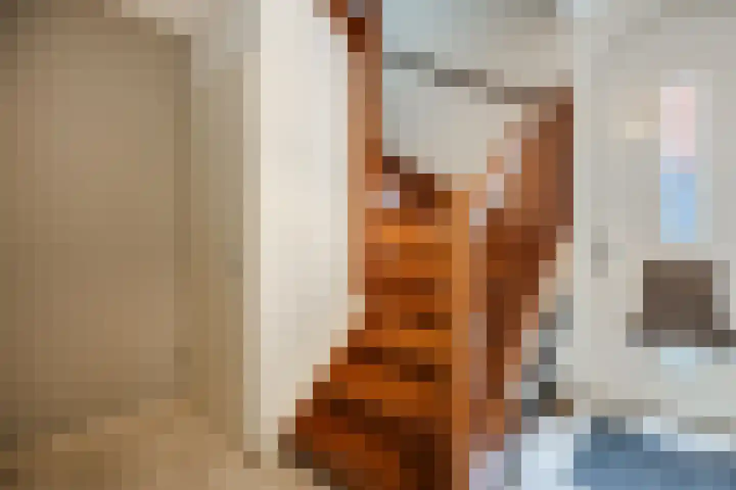 Harlekijnvlinder 18 Oosterhout thumbnail 20