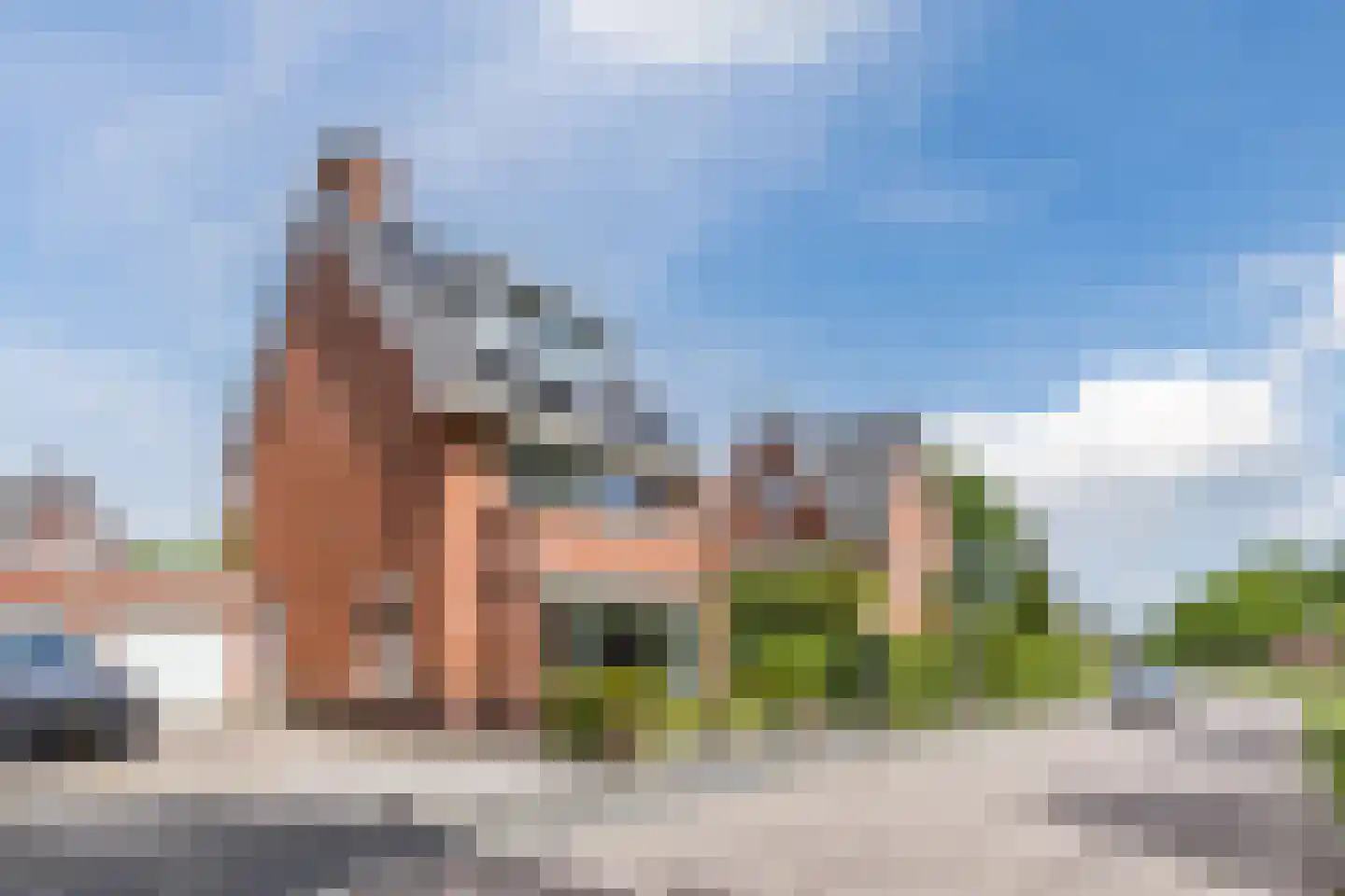 Harlekijnvlinder 18 Oosterhout thumbnail 27