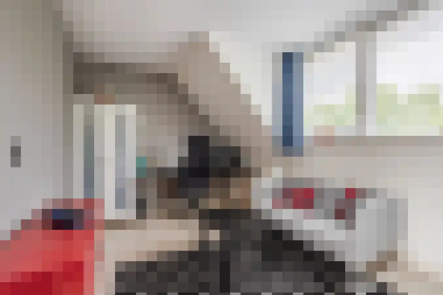 Harlekijnvlinder 18 Oosterhout thumbnail 33