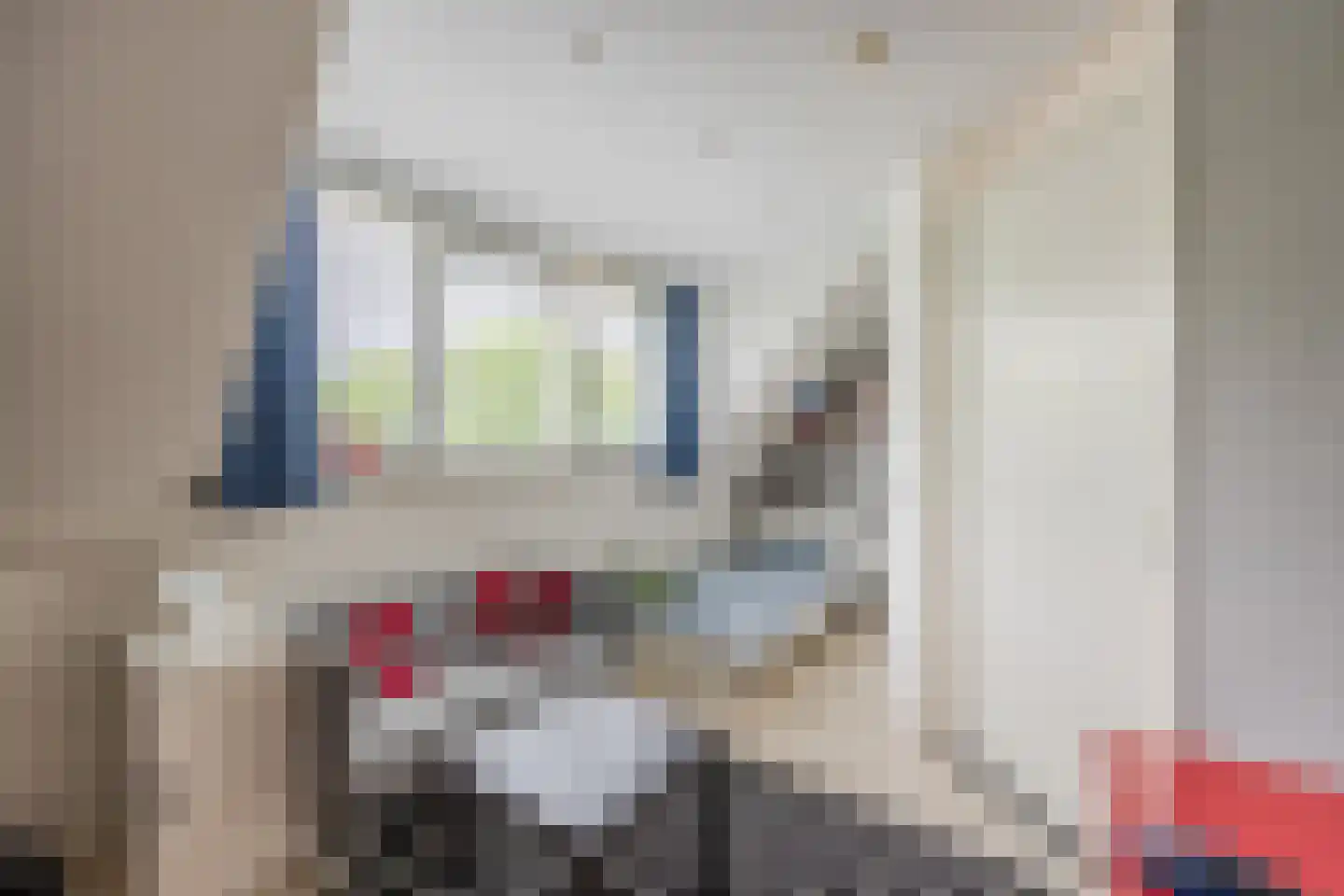 Harlekijnvlinder 18 Oosterhout thumbnail 34