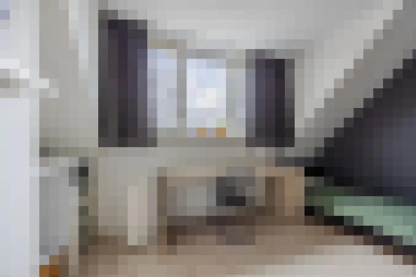 Harlekijnvlinder 18 Oosterhout thumbnail 35