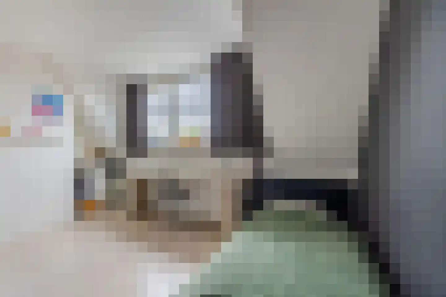 Harlekijnvlinder 18 Oosterhout thumbnail 36