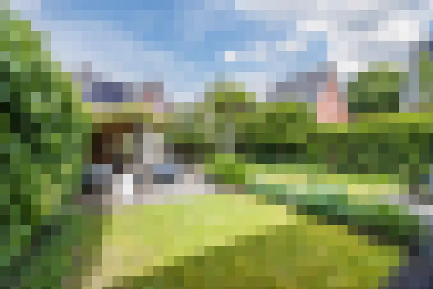Harlekijnvlinder 18 Oosterhout thumbnail 39
